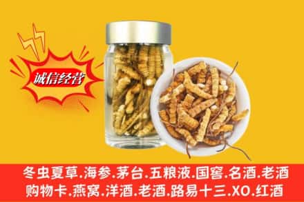 钟楼区回收散虫草