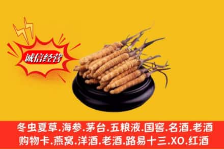 钟楼区求购回收虫草多少钱每克